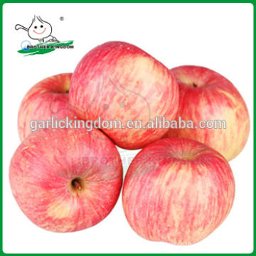 Manzana fresca / manzana fresca de Fuji rojo / manzana fresca de China